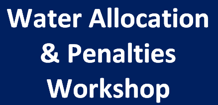 Website Graphic cropped.png